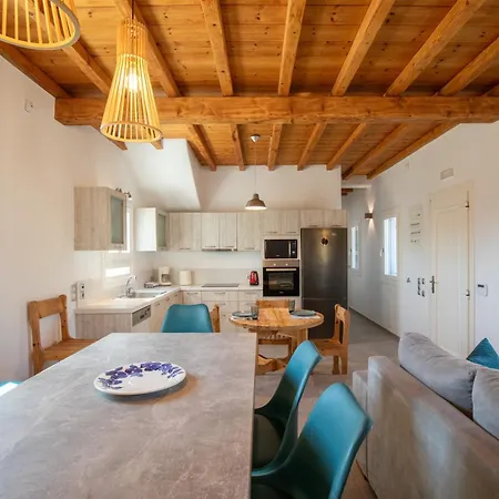 公寓 Miamis Mykonos I Plintri